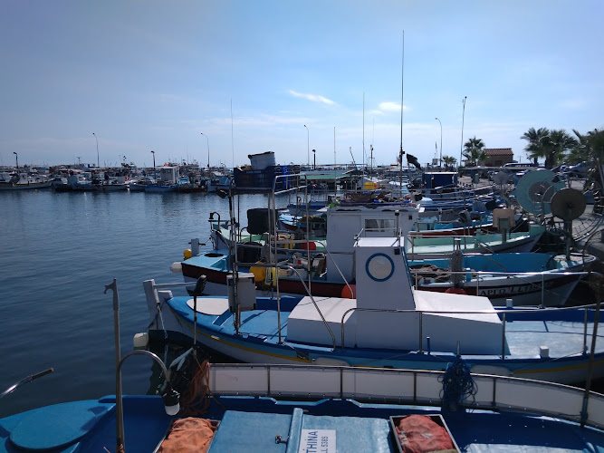 Zenobia start point