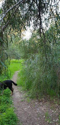 Strovolos Park