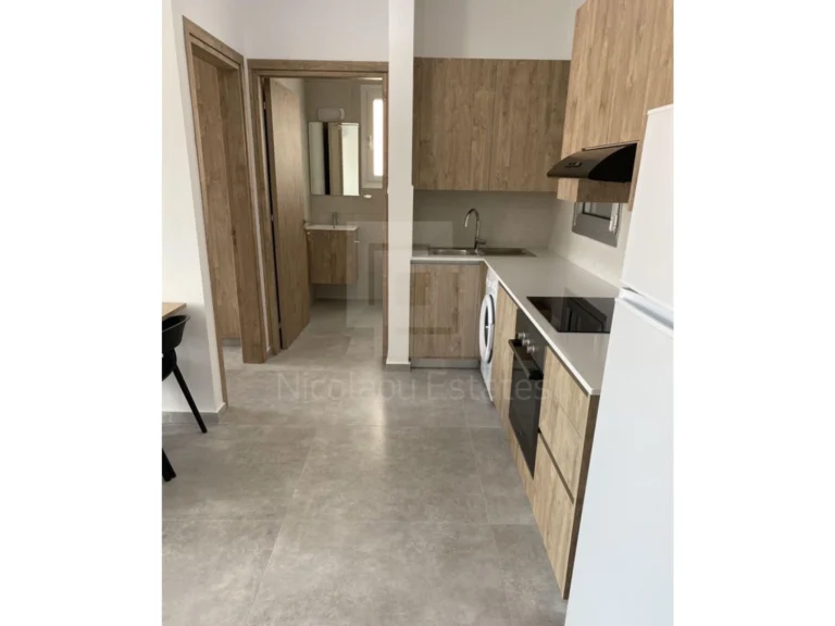 1 Bedroom Apartment for Rent in Agios Dometios, Nicosia District