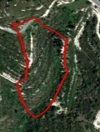 10,034m² Plot for Sale in Tsada, Paphos District