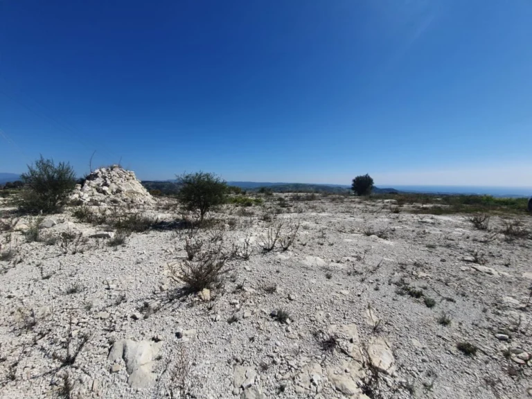 6,616m² Plot for Sale in Episkopi Lemesou, Paphos District