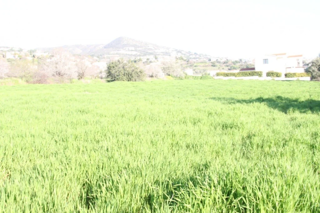 7,873m² Plot for Sale in Tala, Paphos District