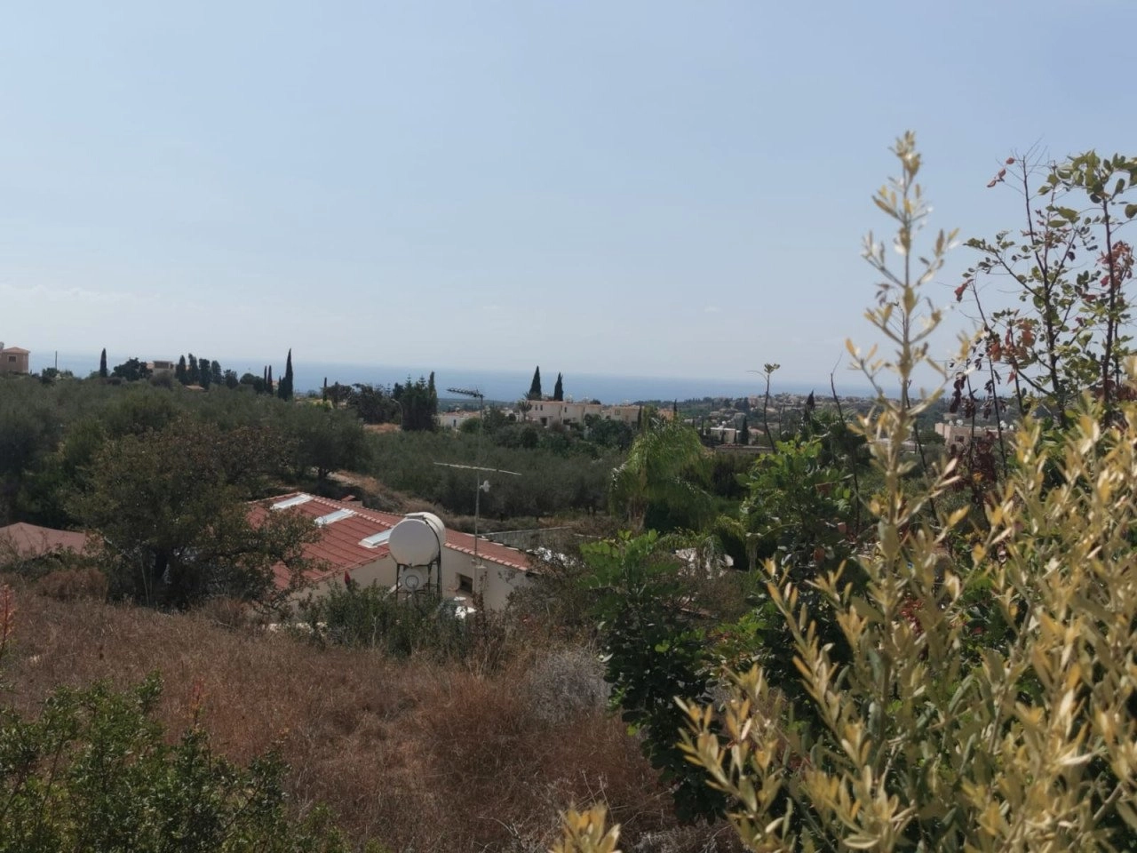 for Sale in Pegeia, Paphos District
