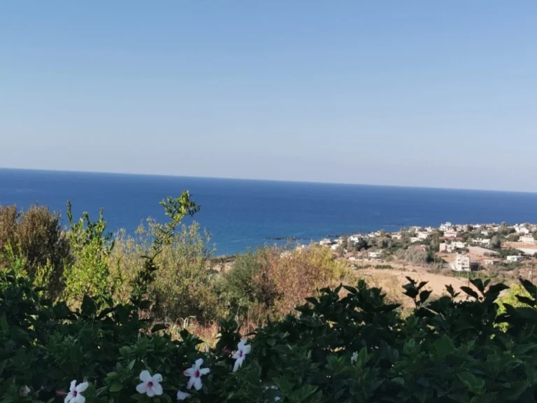 6+ Bedroom House for Sale in Pomos, Paphos District