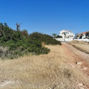 6,200m² Plot for Sale in Pegeia, Paphos District