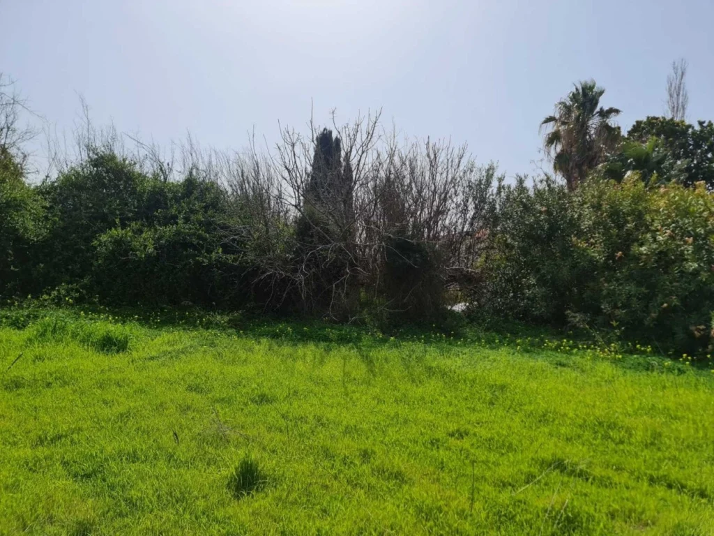 4,237m² Plot for Sale in Kissonerga, Paphos District