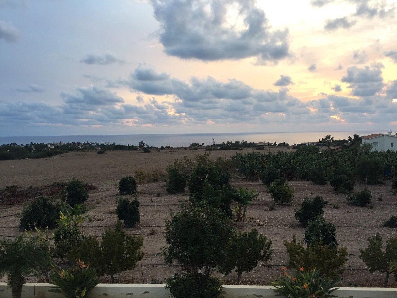 6+ Bedroom House for Sale in Coral Bay, Paphos District