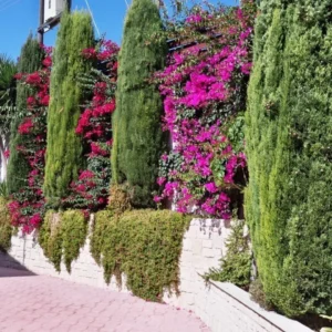 4 Bedroom House for Sale in Tsada, Paphos District