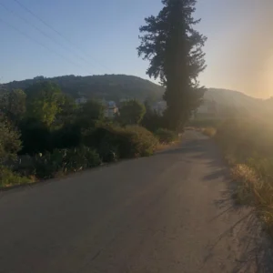for Sale in Limassol District
