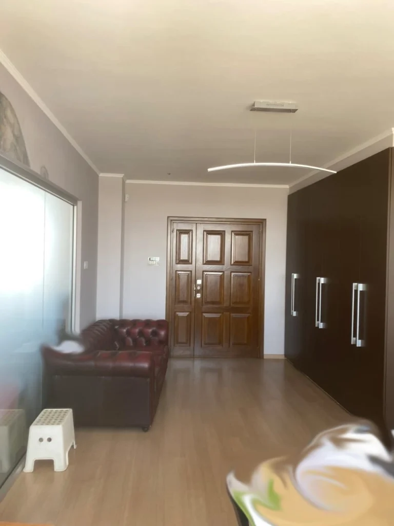 6+ Bedroom Apartment for Sale in Agioi Omologites, Nicosia District