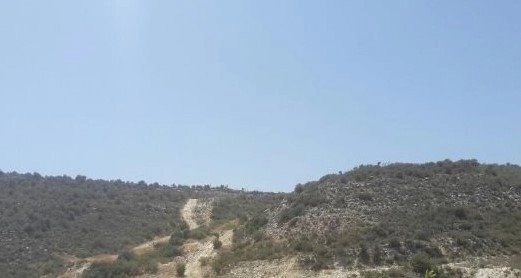for Sale in Ypsonas, Limassol District