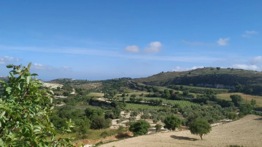 5,113m² Plot for Sale in Tsada, Paphos District