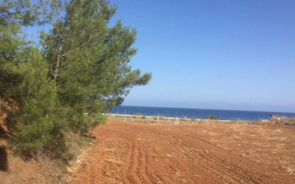 10,248m² Plot for Sale in Nea Dimmata, Paphos District