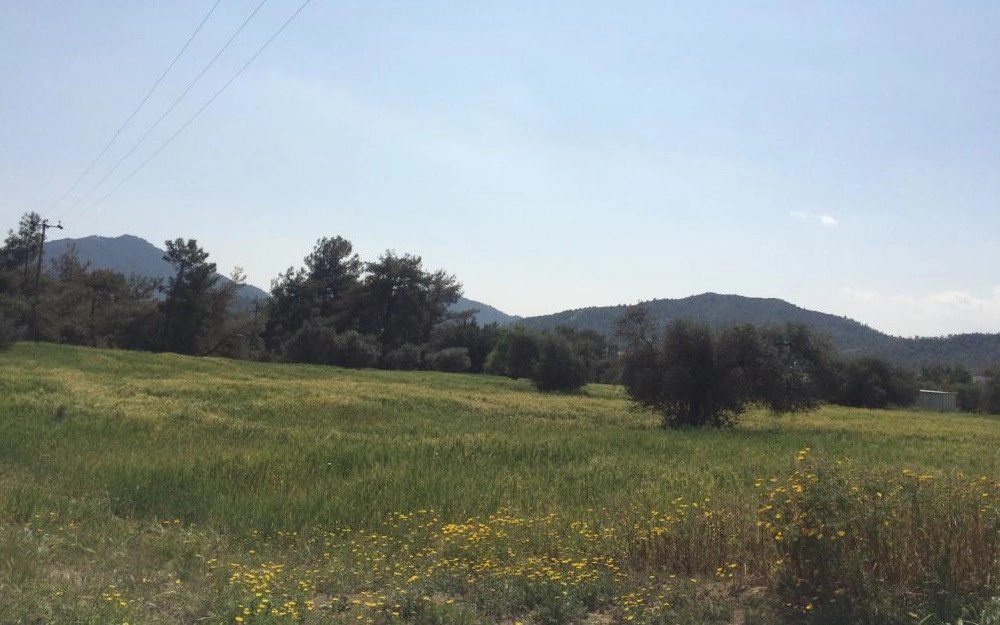 11,205m² Plot for Sale in Pyrga Larnakas, Larnaca District