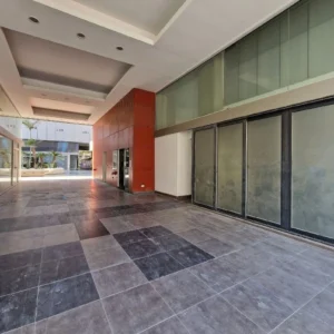 244m² Commercial for Sale in Agioi Omologites, Nicosia District