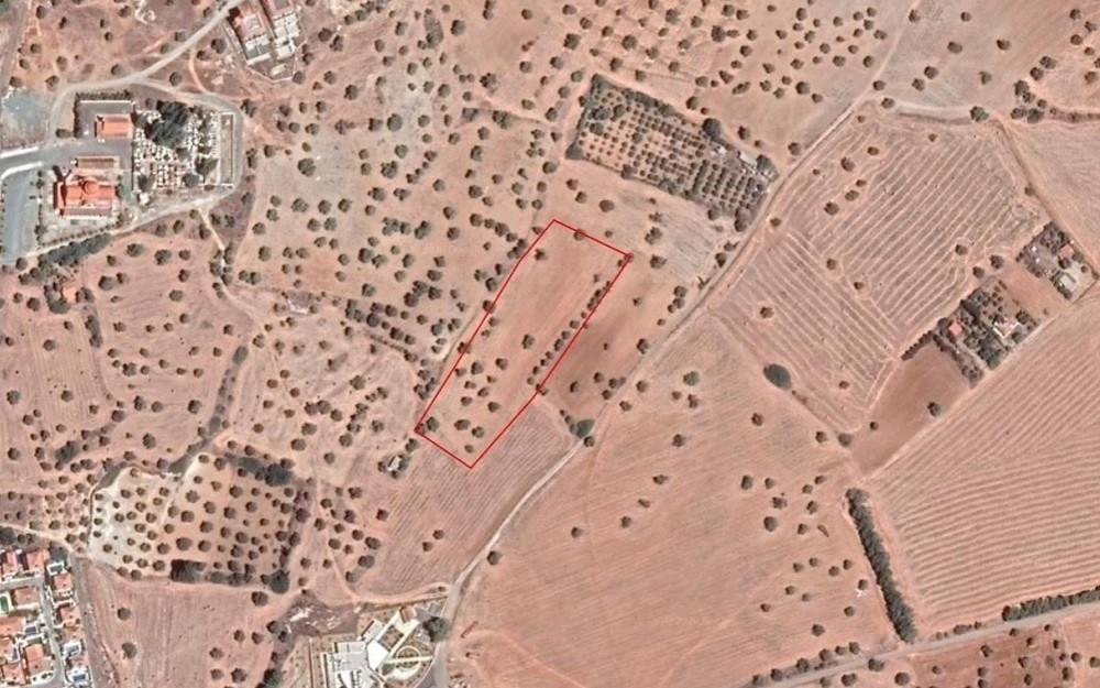 for Sale in Mazotos, Larnaca District