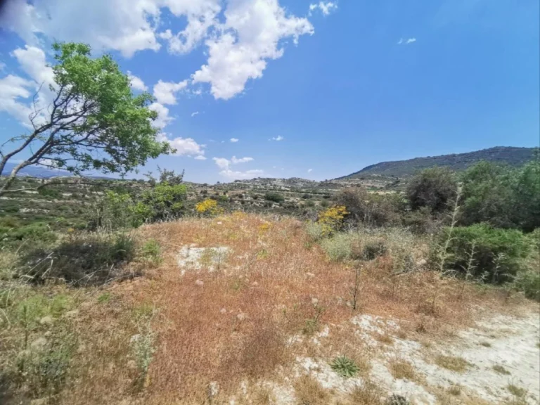 8,696m² Plot for Sale in Pachna, Limassol District