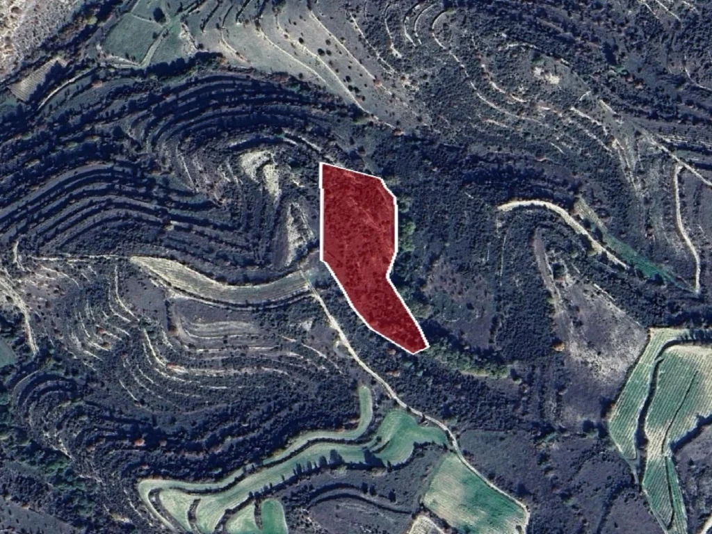 8,696m² Plot for Sale in Pachna, Limassol District