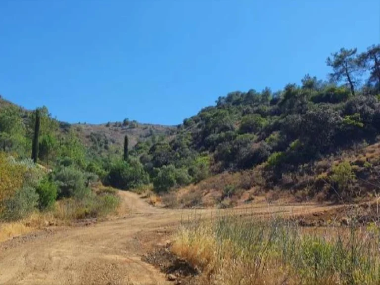 15,720m² Plot for Sale in Kalo Chorio Lemesou, Limassol District