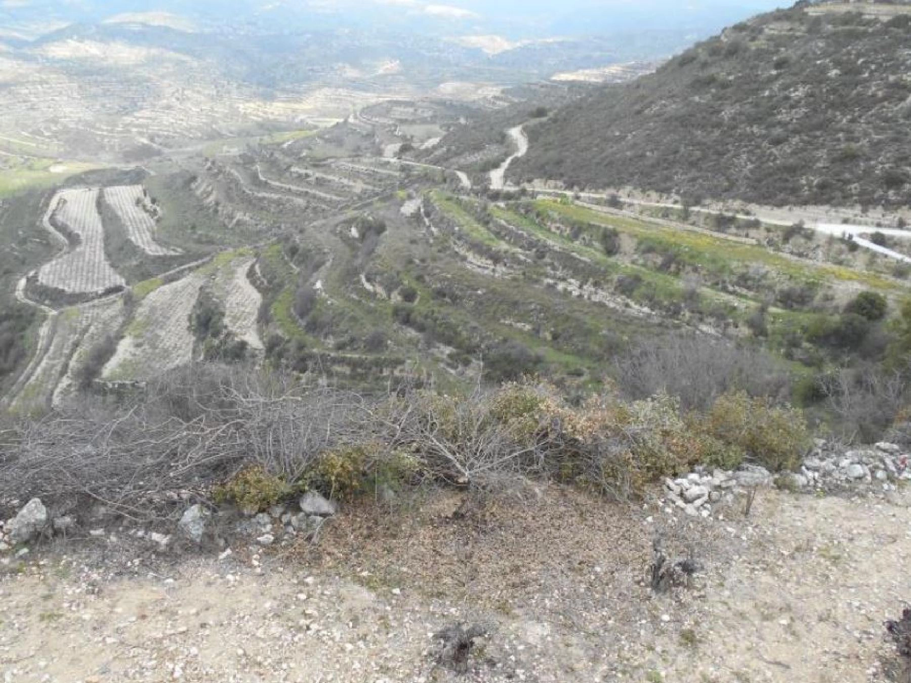26,840m² Plot for Sale in Pachna, Limassol District