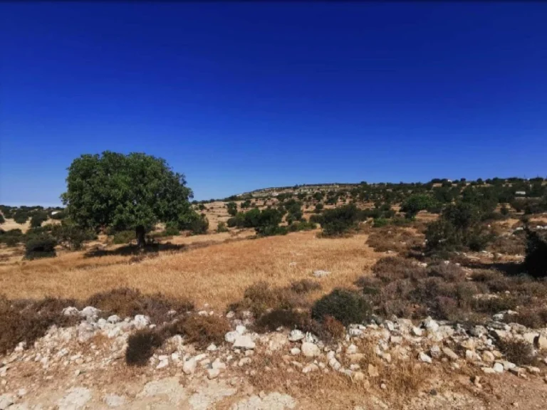 6,689m² Plot for Sale in Pachna, Limassol District