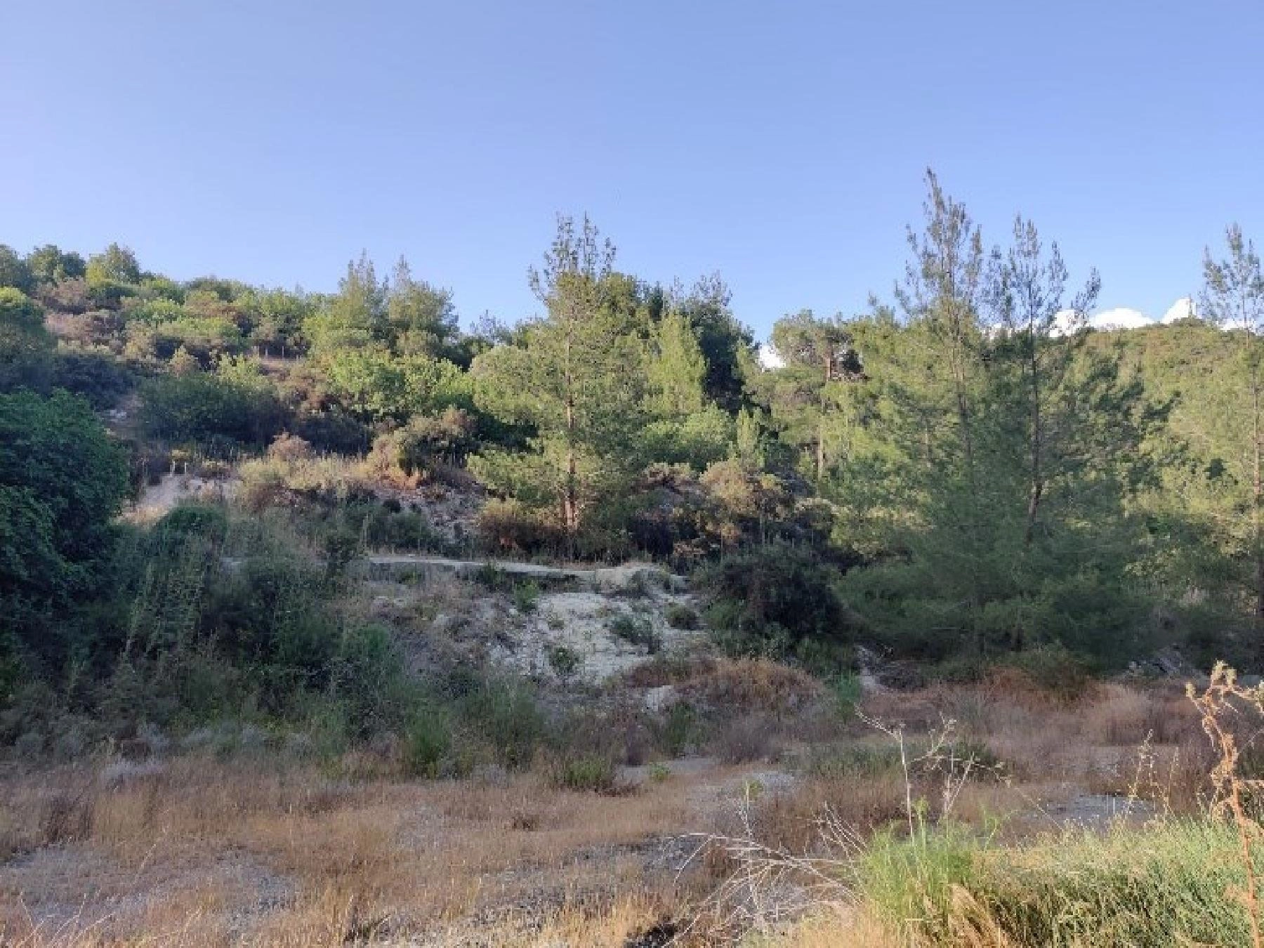 14,382m² Plot for Sale in Agios Therapon, Limassol District