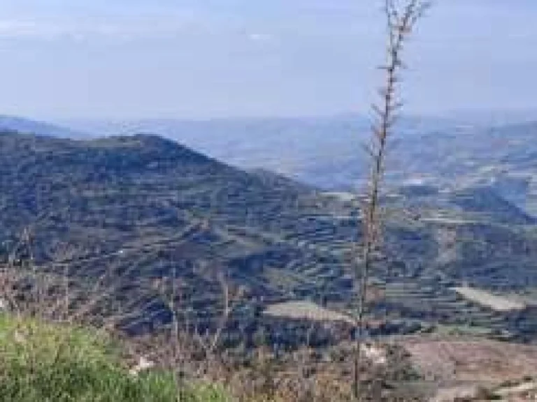 5,352m² Plot for Sale in Dora, Limassol District