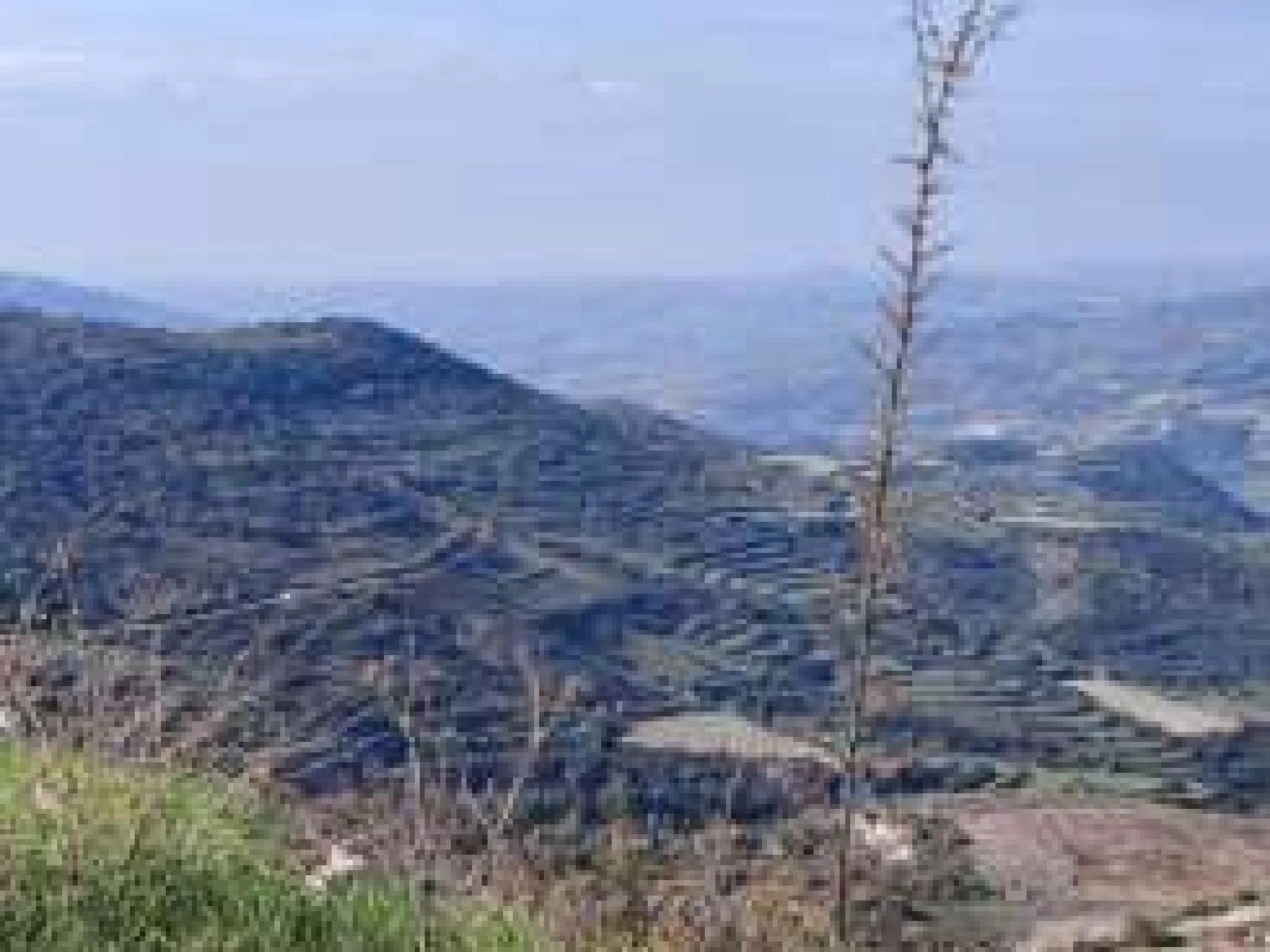 5,352m² Plot for Sale in Dora, Limassol District