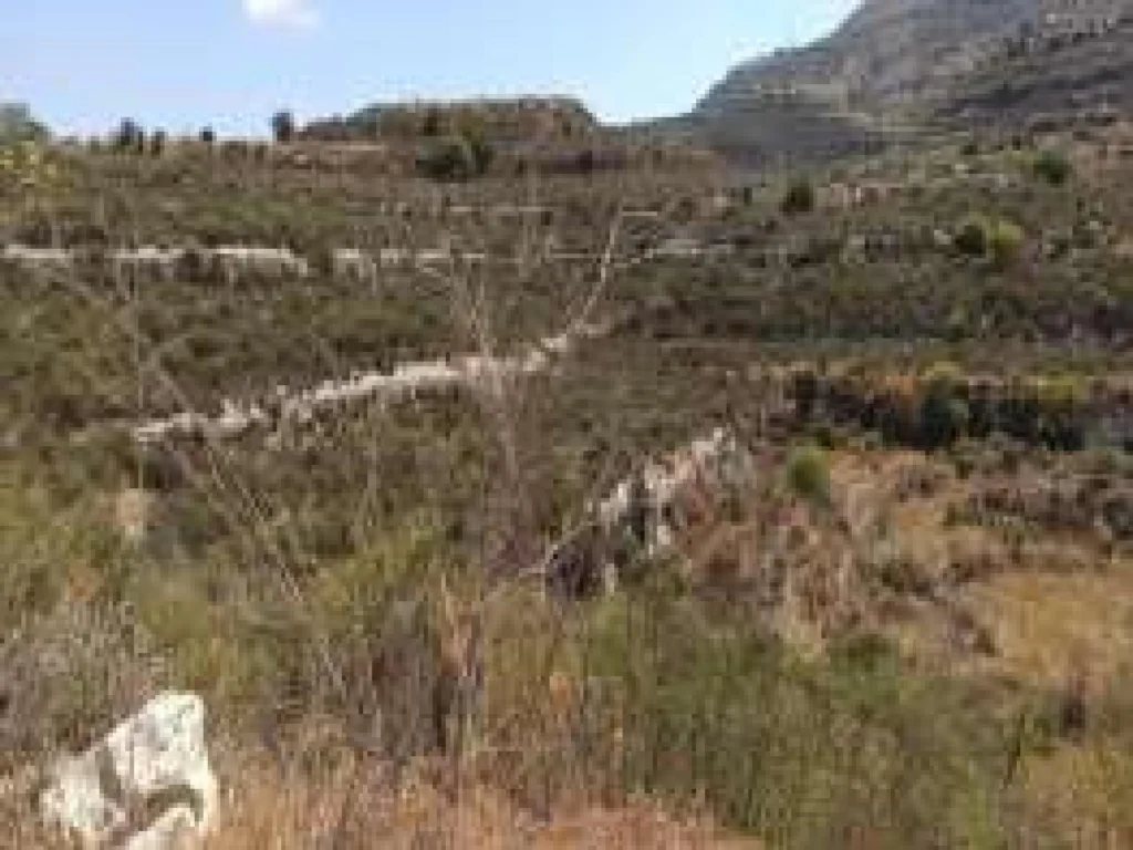 6,355m² Plot for Sale in Dora, Limassol District