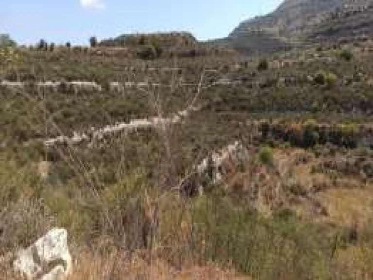 6,355m² Plot for Sale in Dora, Limassol District