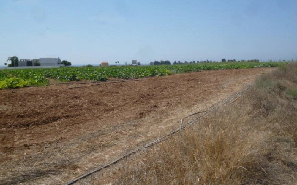 6,707m² Plot for Sale in Softades, Larnaca District