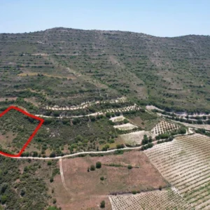 5,686m² Commercial Plot for Sale in Pachna, Limassol District