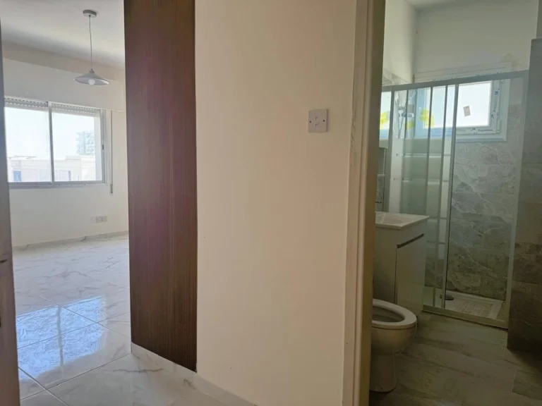 6+ Bedroom Apartment for Rent in Limassol District