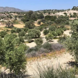 18,959m² Plot for Sale in Monagroulli, Limassol District