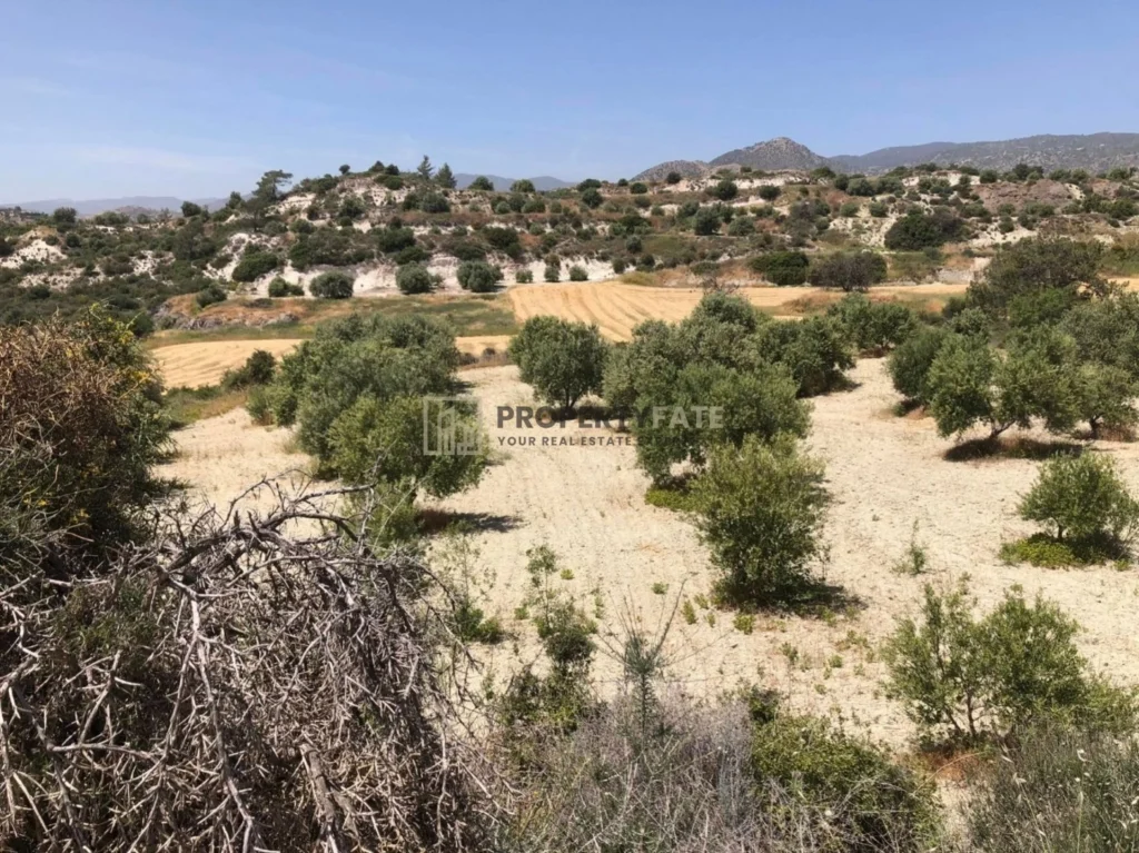 13,656m² Plot for Sale in Monagroulli, Limassol District