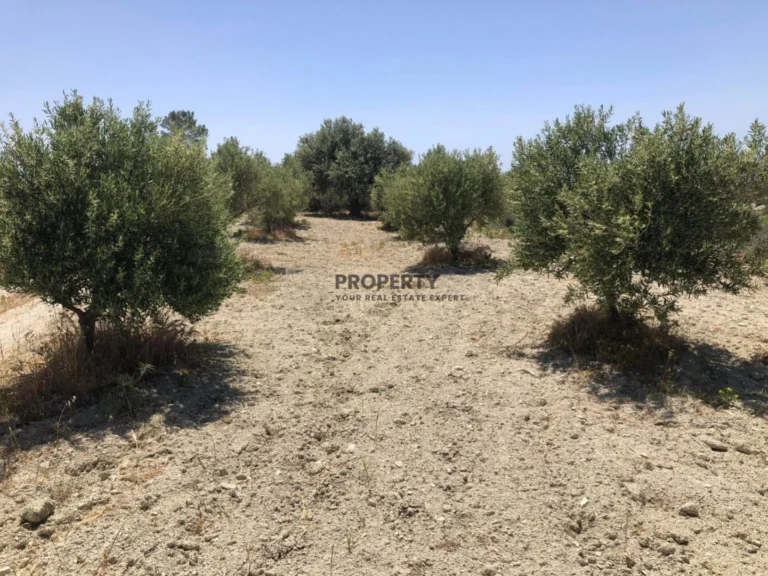 13,656m² Plot for Sale in Monagroulli, Limassol District