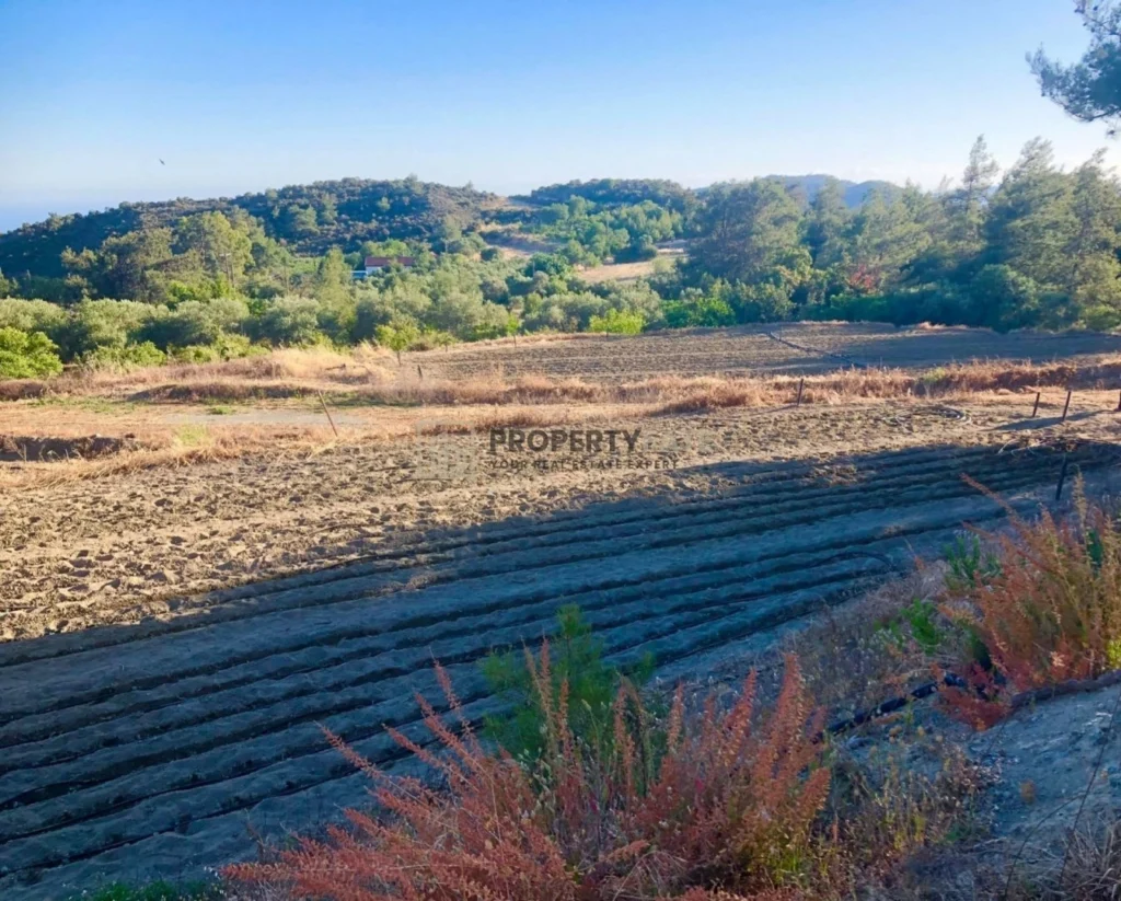 7,500m² Plot for Sale in Kellaki, Limassol District
