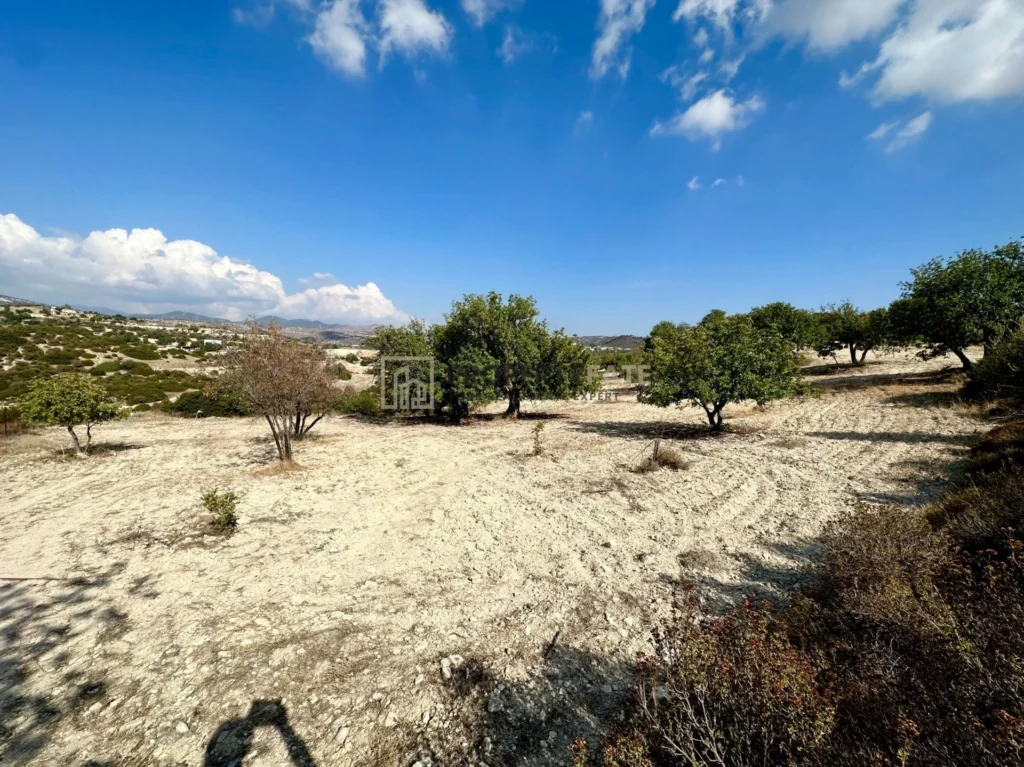 36,790m² Plot for Sale in Paramytha, Limassol District