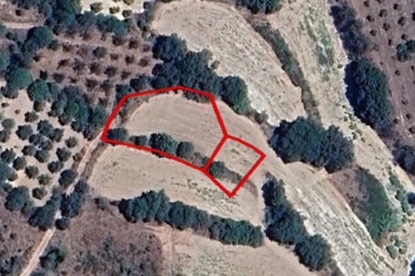 1,255m² Plot for Sale in Amargeti, Paphos District