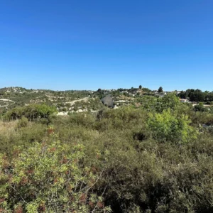 6,412m² Plot for Sale in Tsada, Paphos District