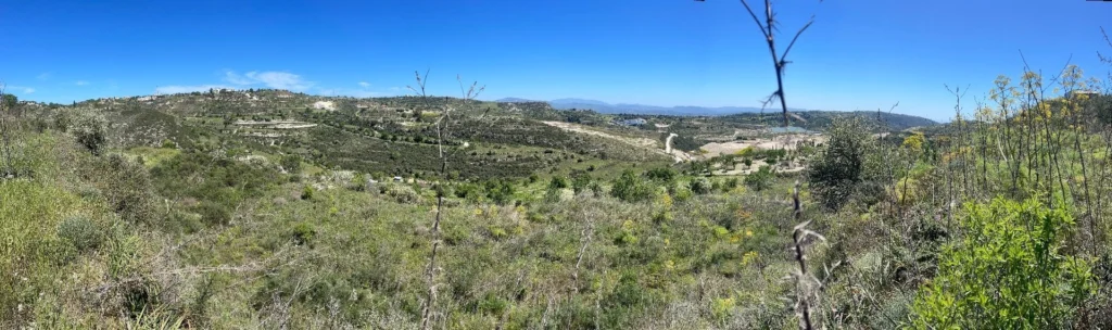 6,689m² Plot for Sale in Tsada, Paphos District