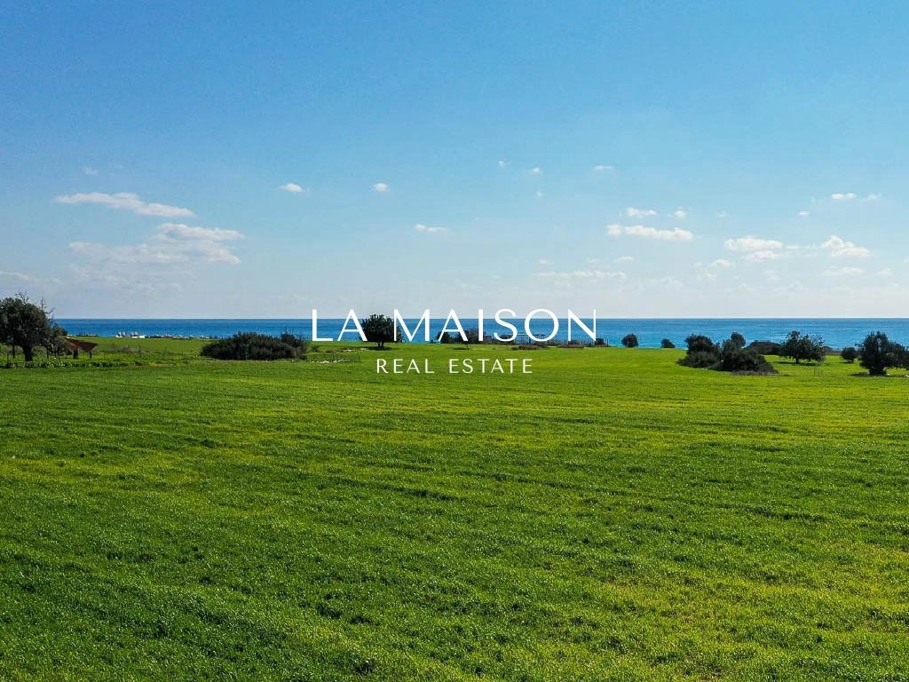 Plot for Sale in Mazotos, Limassol District