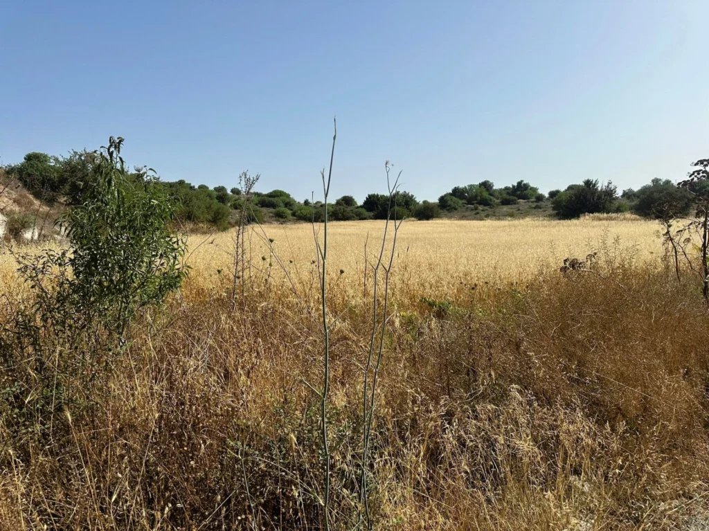 12,821m² Plot for Sale in Marathounta, Paphos District