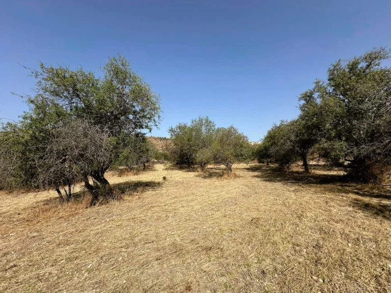 4,683m² Plot for Sale in Marathounta, Paphos District