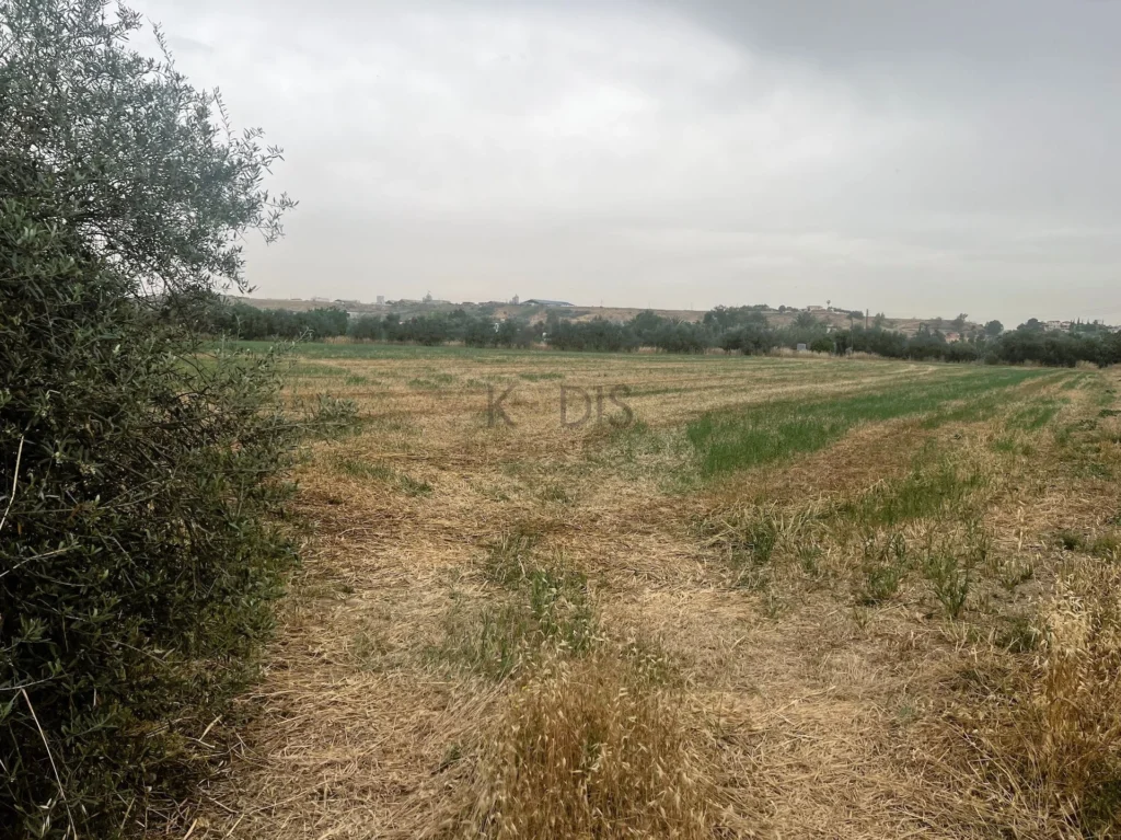 4,330m² Plot for Sale in Dali, Nicosia District