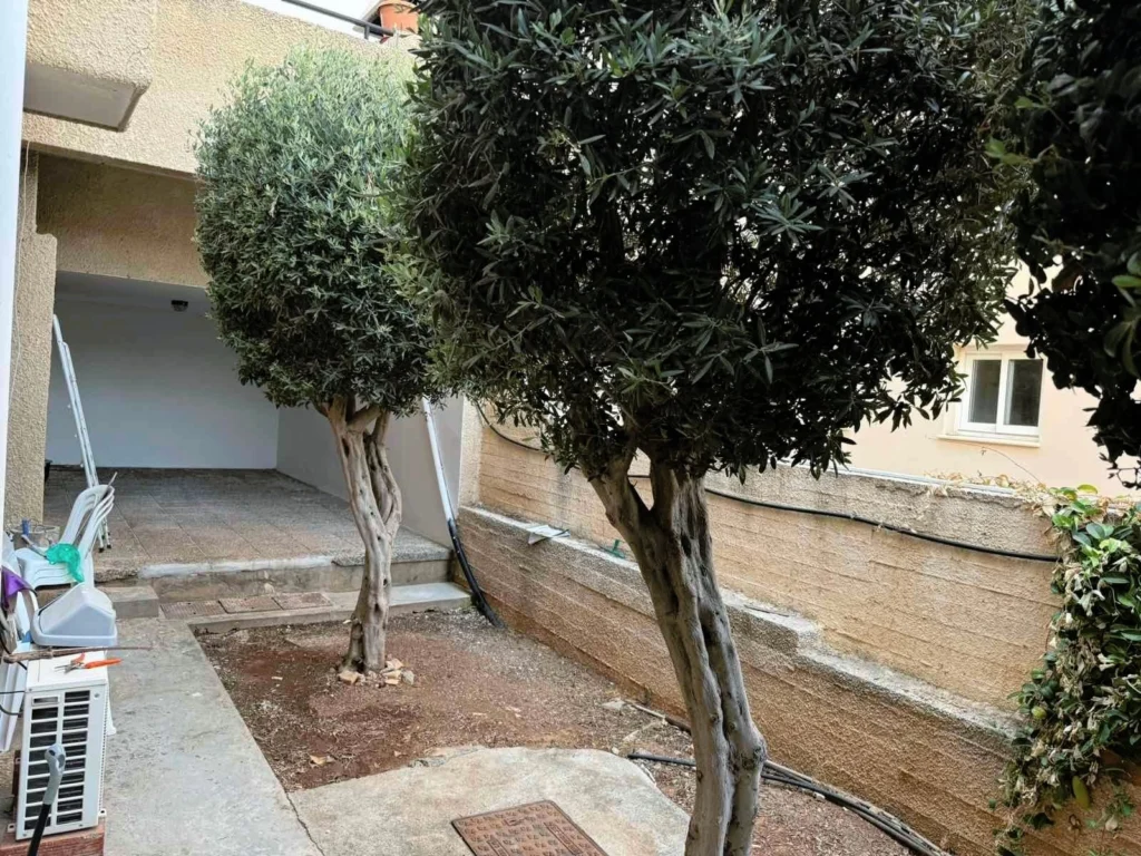 3 Bedroom Apartment for Rent in Limassol District