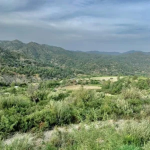 25,284m² Plot for Sale in Troodos, Limassol District