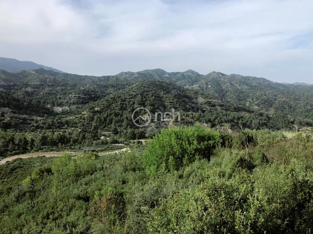 25,284m² Plot for Sale in Troodos, Limassol District