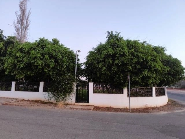 Cheap Houses and Villas for Rent Famagusta