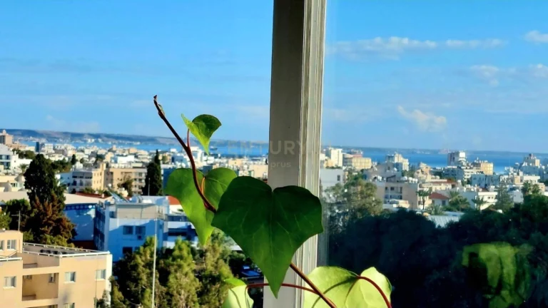 3 Bedroom Apartment for Rent in Larnaca District